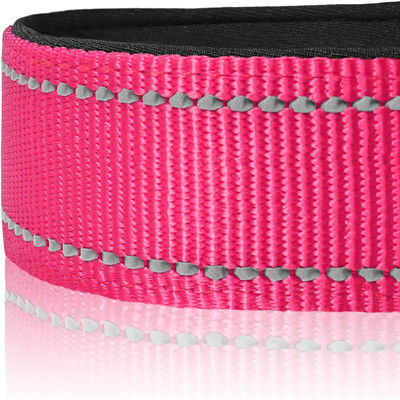 Ajustable multicolor reflexivo de nylon respirable del cuello de perro