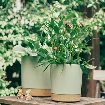 Potes plásticos interiores de la planta verde con los agujeros del drenaje y la base desprendible