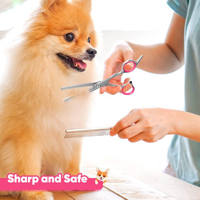 6 en las tijeras de acero inoxidables Kit With Safety Round Tips de 1 preparación del perro