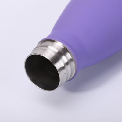 el vacío 500ml se divierte la botella de encargo de la bebida del metal de las tazas de consumición 304SS