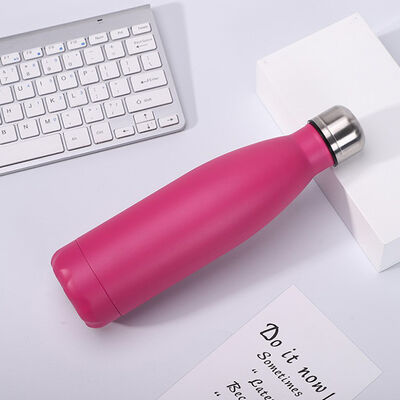 el vacío 500ml se divierte la botella de encargo de la bebida del metal de las tazas de consumición 304SS