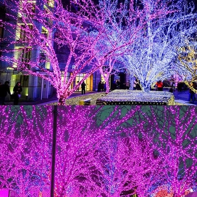 luces accionadas solares de la secuencia de la Navidad de la prenda impermeable LED de los 20m para la decoración de la boda del partido